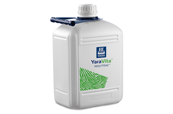 yaravita molytrac