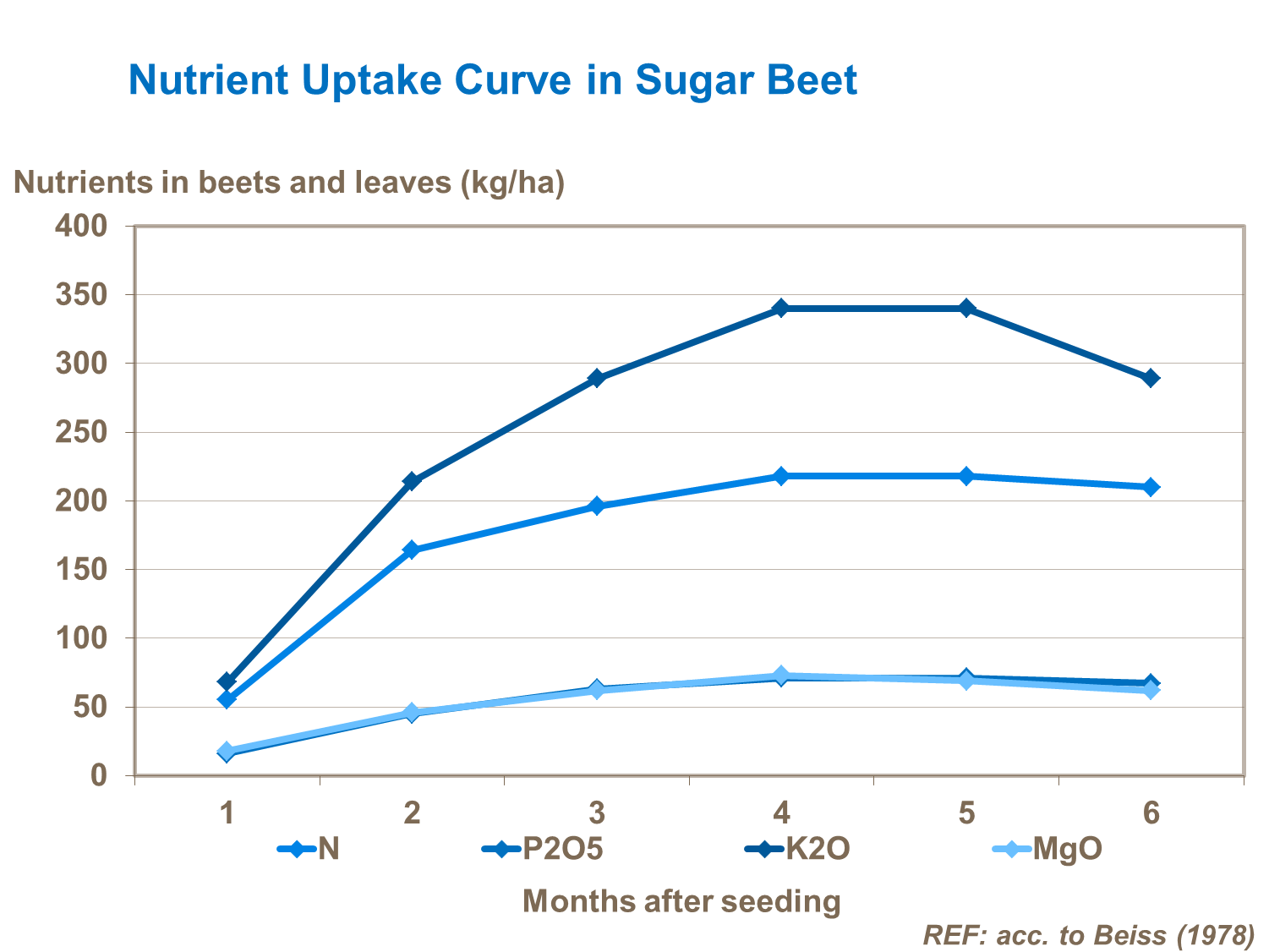 Nutrient uptake curve in sugar beet