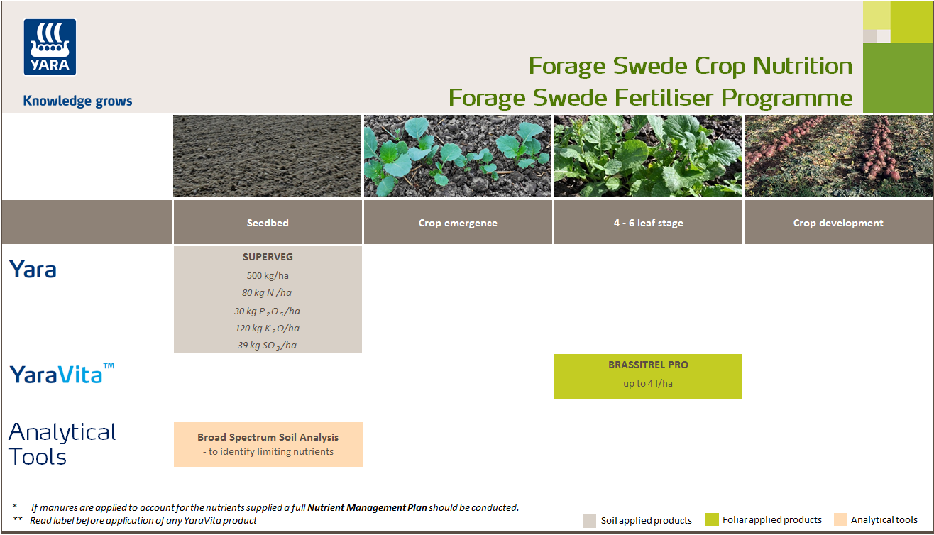 Forage swede fertiliser programme
