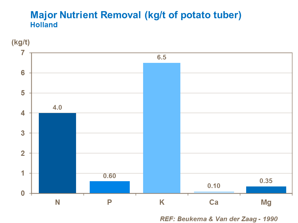 Major nutrient removal by potato tubers